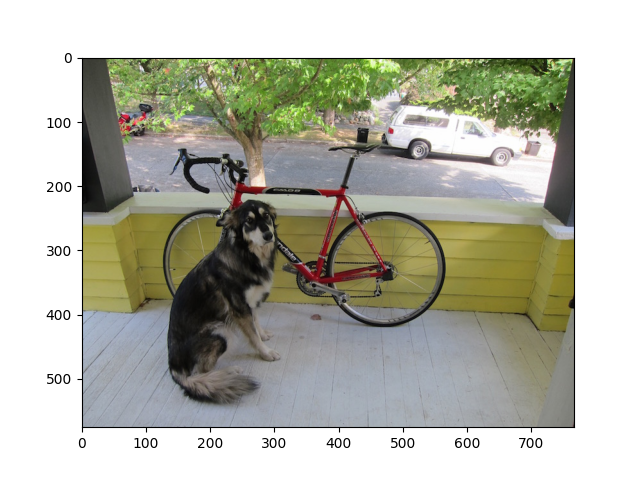 detection custom