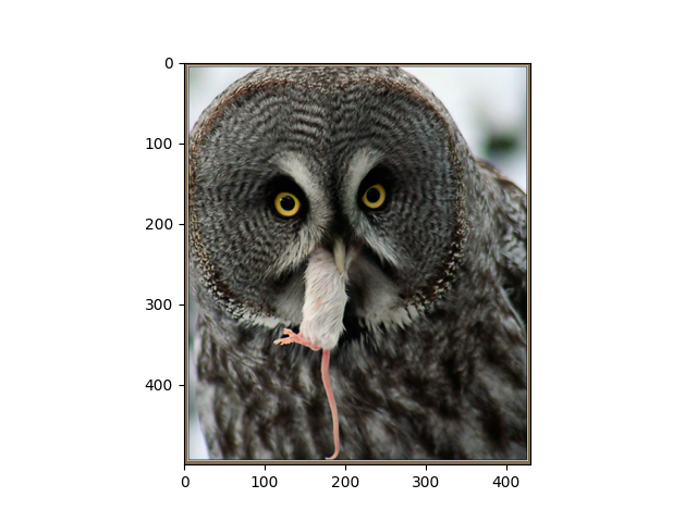 imagenet