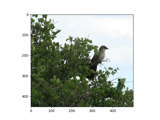 imagenet